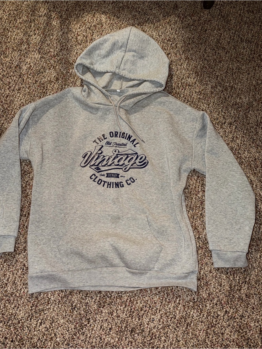 Vintage Graphic Hooded Sweatshirt - Light Gray